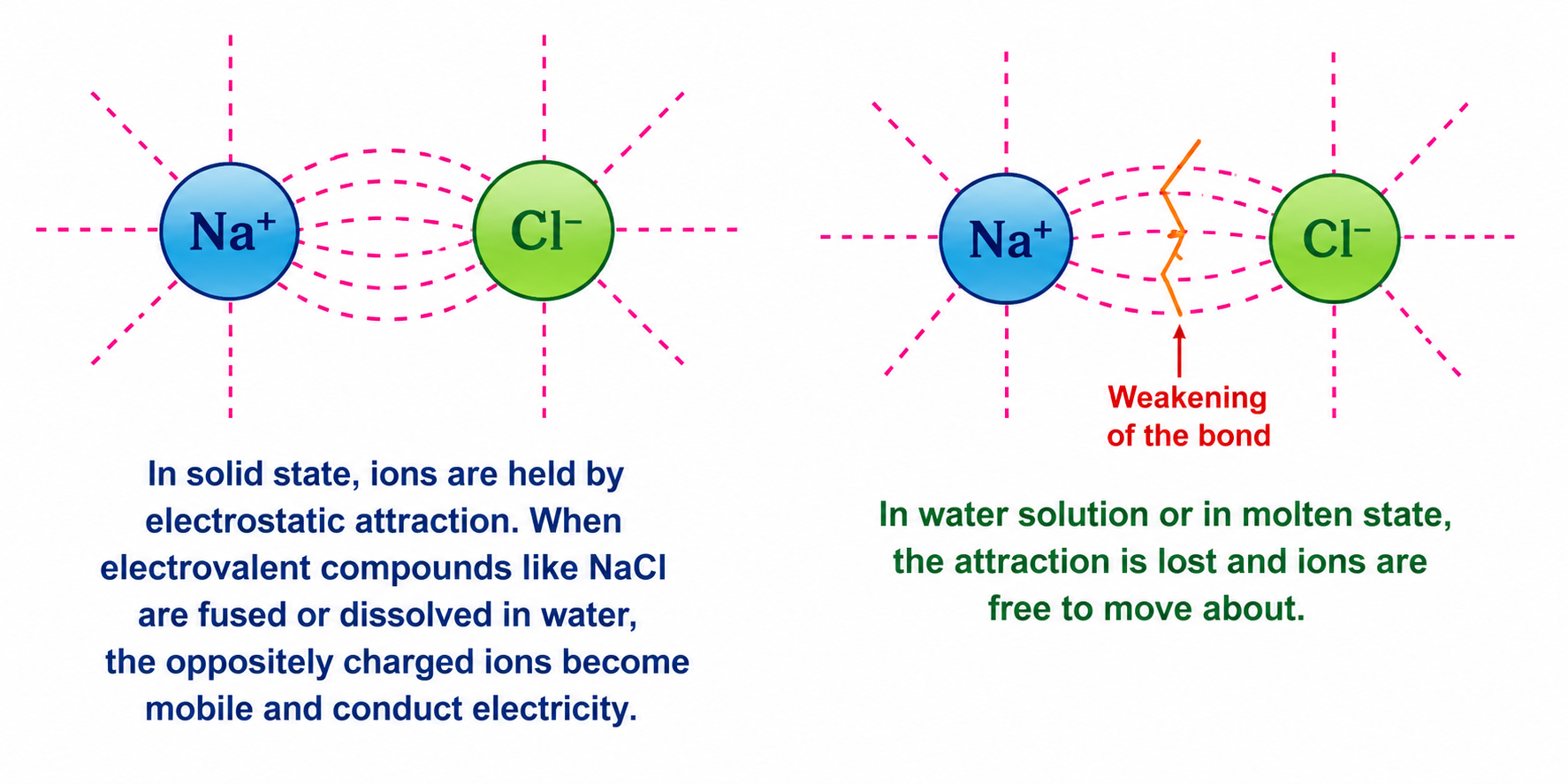 Fig. 6.2 & Fig. 6.3 Electrostatic attraction in solid state vs free mobile ions in water/molten state
